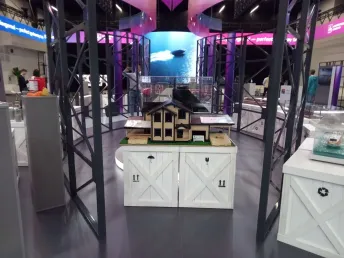 صور الأخبار Встреча министров промышленности стран БРИКС